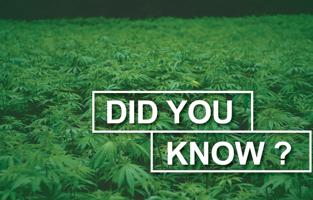 MDS Did You Know?