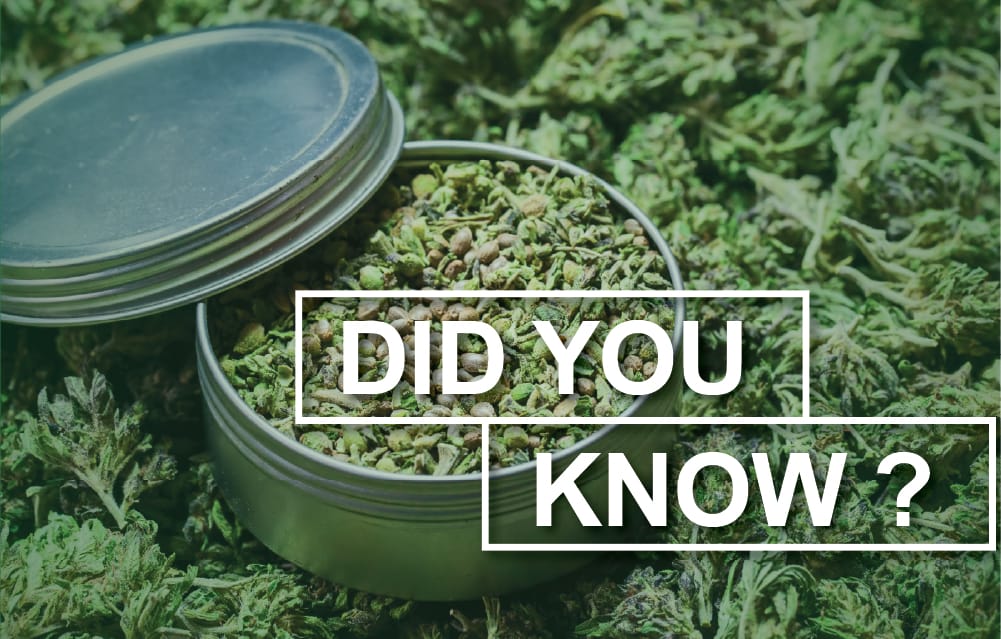 Did you know?