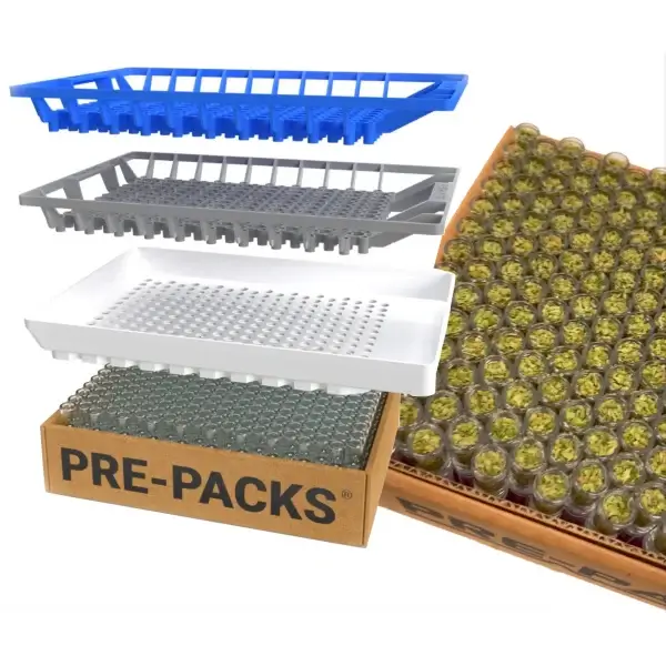 packaging for one hitters with caps